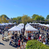 Collingswood Clover Market