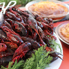 crayfish dinner American Swedisn Historical Museum