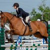 devon horse show