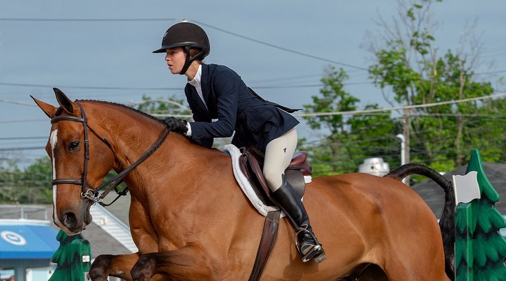 devon horse show