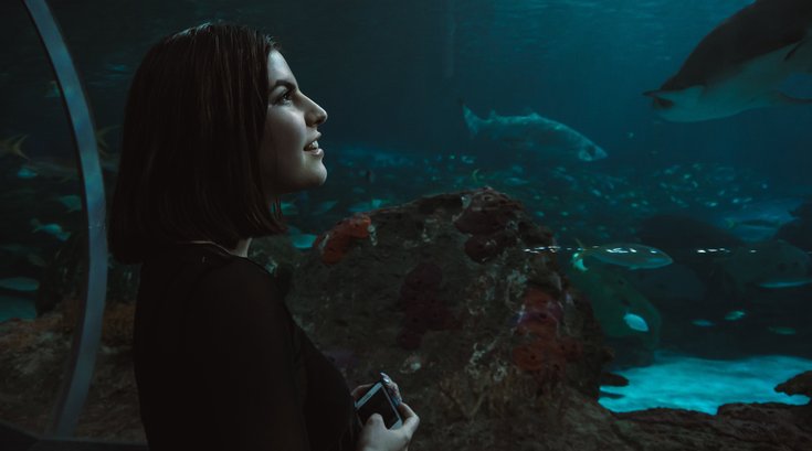 aquarium