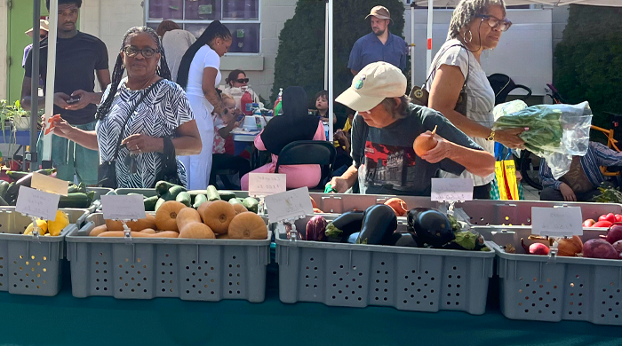 Lansdowne Farmers Market