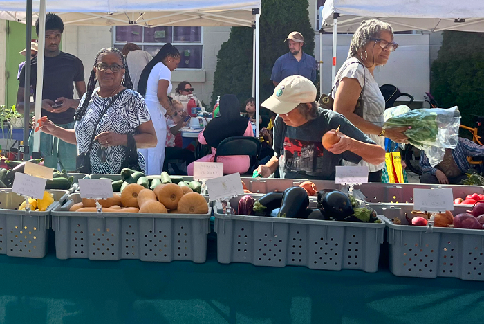 Lansdowne Farmers Market
