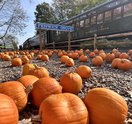 Woodstown Central Railroad - Pumpkin Patch Flyer