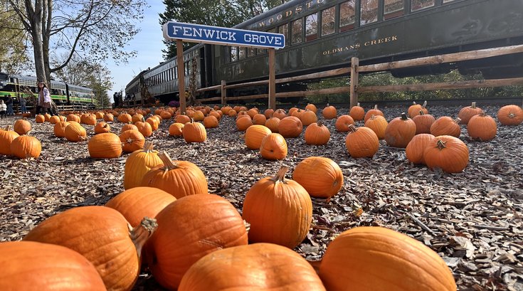 Woodstown Central Railroad - Pumpkin Patch Flyer