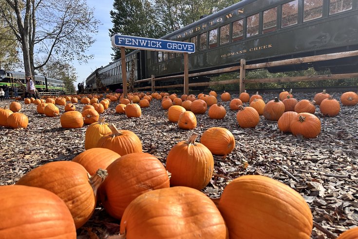 Woodstown Central Railroad - Pumpkin Patch Flyer