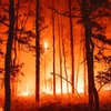 Burlington County Wildfire