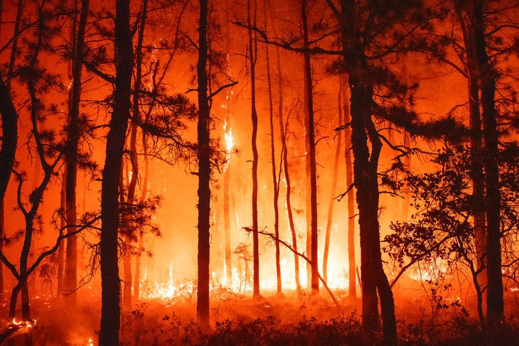 Burlington County Wildfire