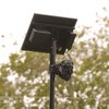flock cameras city council