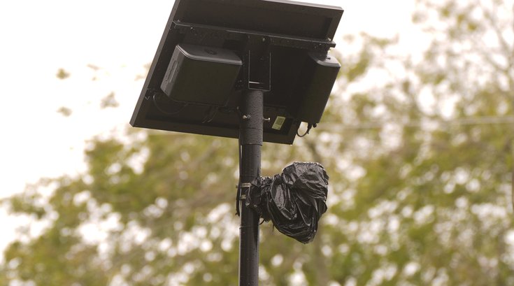 flock cameras city council