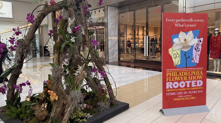 Flower Show KOP Mall