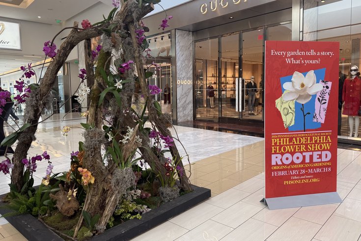 Flower Show KOP Mall