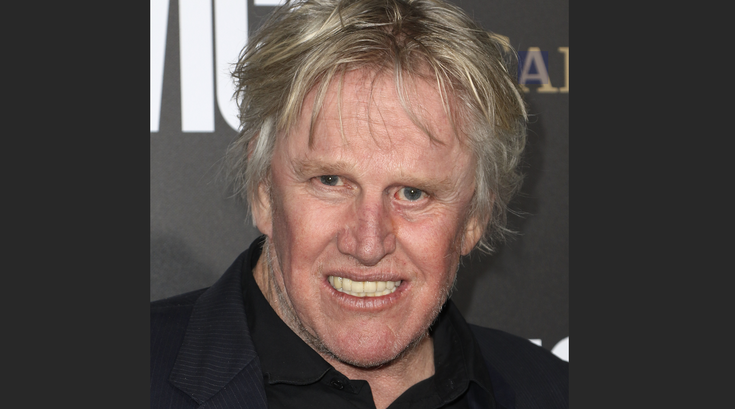 Gary Busey Sexual Misconduct