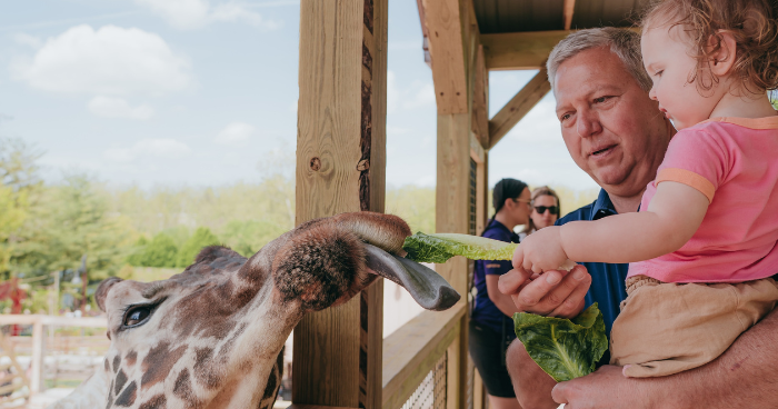 Elmwood Park Zoo offers free admission on the Fourth of July Elmwood Park Zoo offers free admission on the Fourth of July