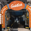 Goldfish Car Wash