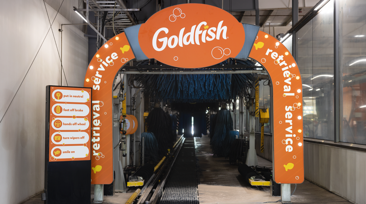 Goldfish Car Wash