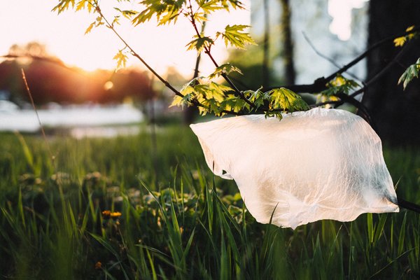 plastic bag