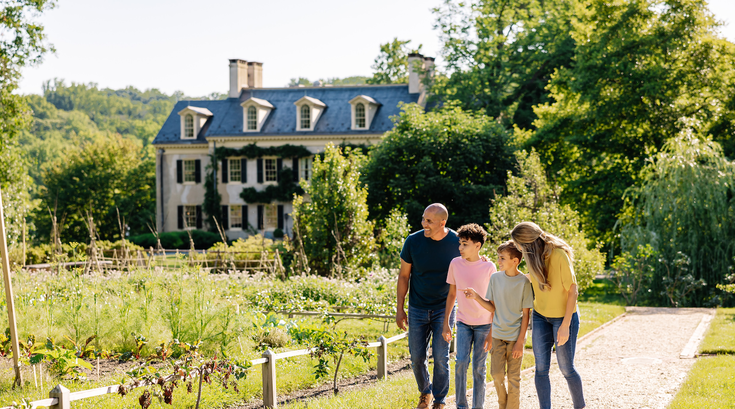 Limited - Hagley - Main PHoto