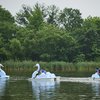 FDR heron boats