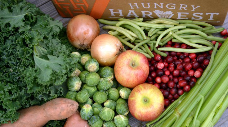 Limited - Hungry Harvest April2021v2