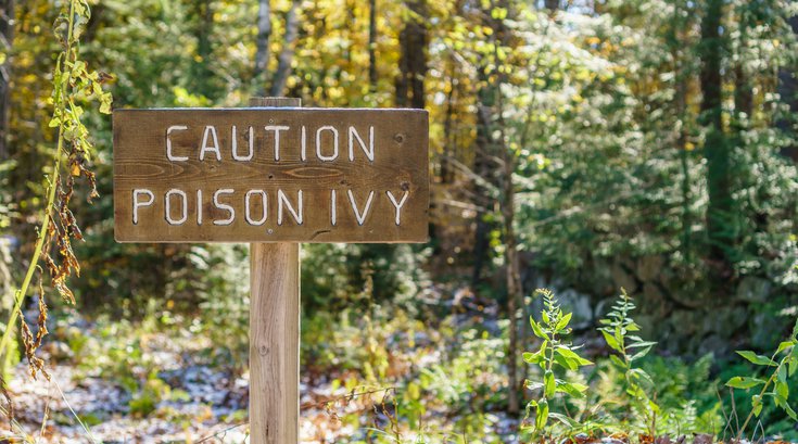 Purchased - Poison Ivy caution sign