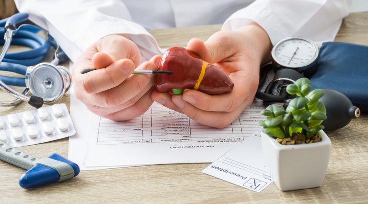 Physician shows to patient shape of liver