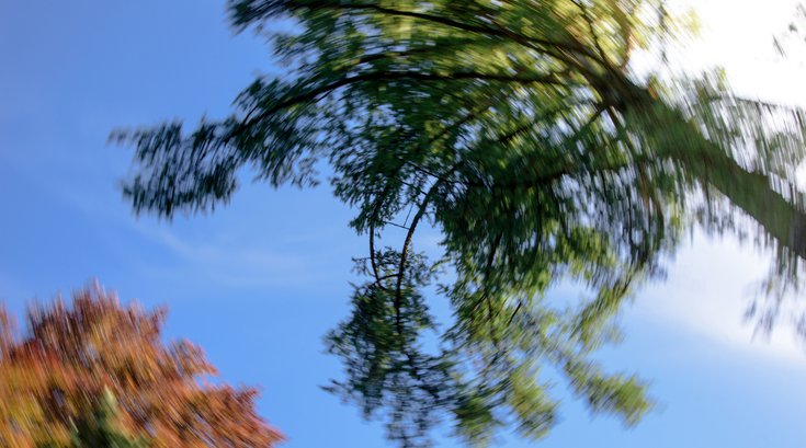 Motion blur sky looking up stock photo