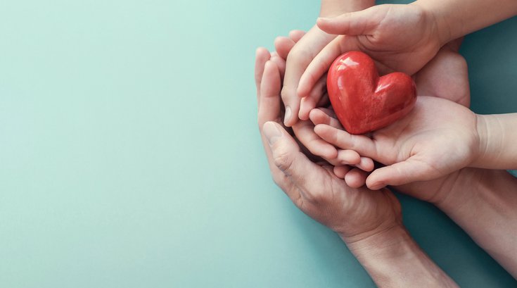 Heart in hands - organ donation