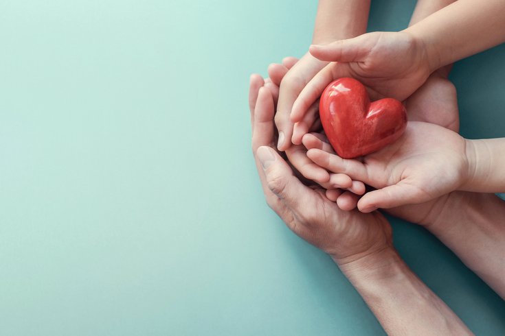 Heart in hands - organ donation