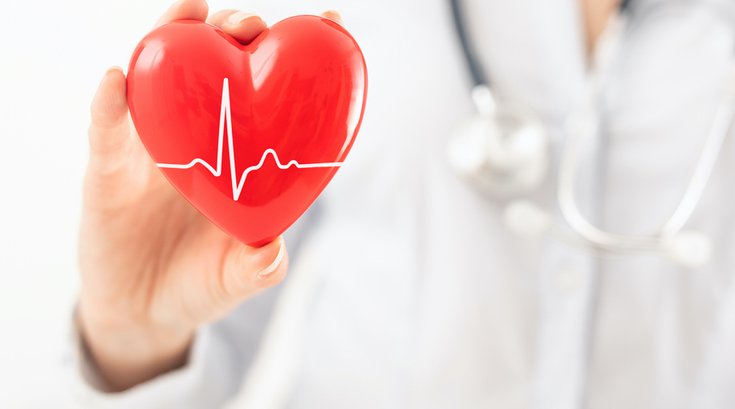 Purchased - doctor is holding and showing a red heart