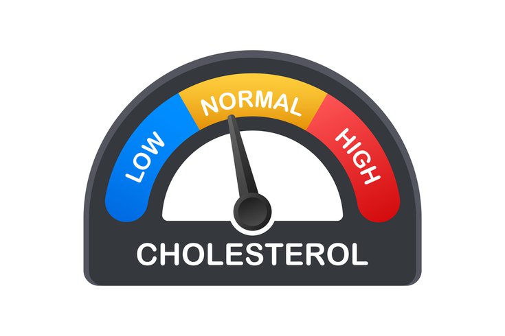 Purchased - Cholesterol meter