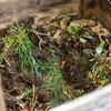 Purchased - Composting at home