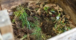 Purchased - Composting at home