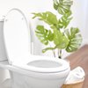 Purchased - Toilet in a modern bathroom with plant