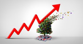 Purchased - Holiday Tree Inflation