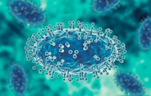 Purchased - Monkeypox disease