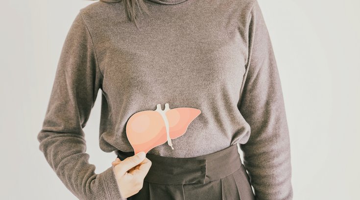 Purchased - Woman holding liver paper cut, hepatitis vaccination, liver cancer treatment