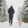 Purchased - Person walking in the snow with dog