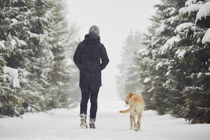 Purchased - Person walking in the snow with dog
