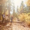 Purchased - Family taking a hike in the woods during fall