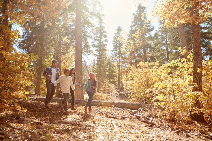 Purchased - Family taking a hike in the woods during fall