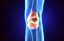 Purchased - Ortho image trinity