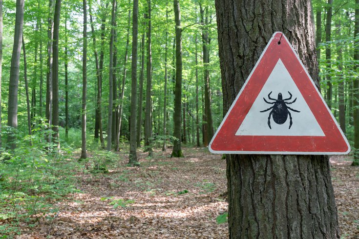 Tick warning at the entrance to wooded area