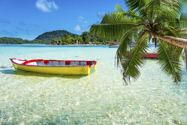 Paradise Vacation 