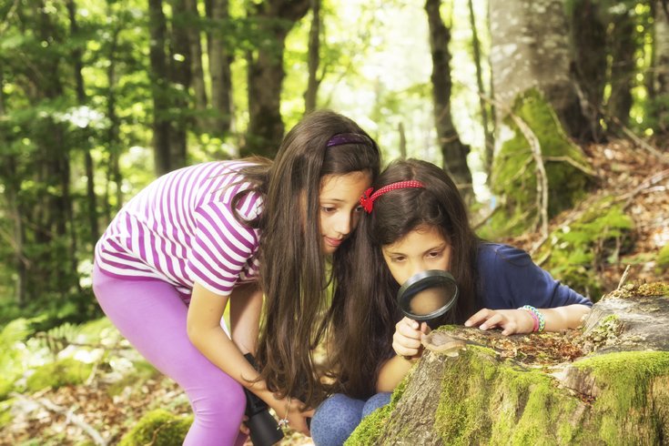 Children Exploring Nature
