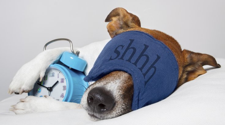 Christie_Honigman_Sleep