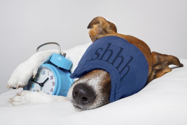 Christie_Honigman_Sleep