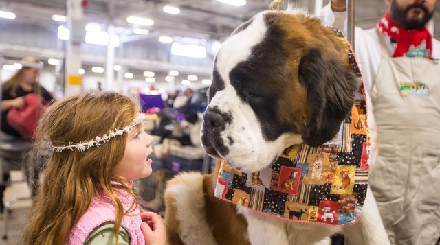National Dog Show Kennel Club