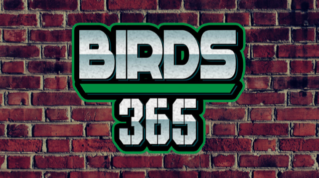 Limited - JAKIB Media -Birds 365