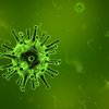 Influenza B is dominant strain this flu season